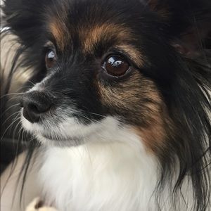 Meet your Posher, Ami